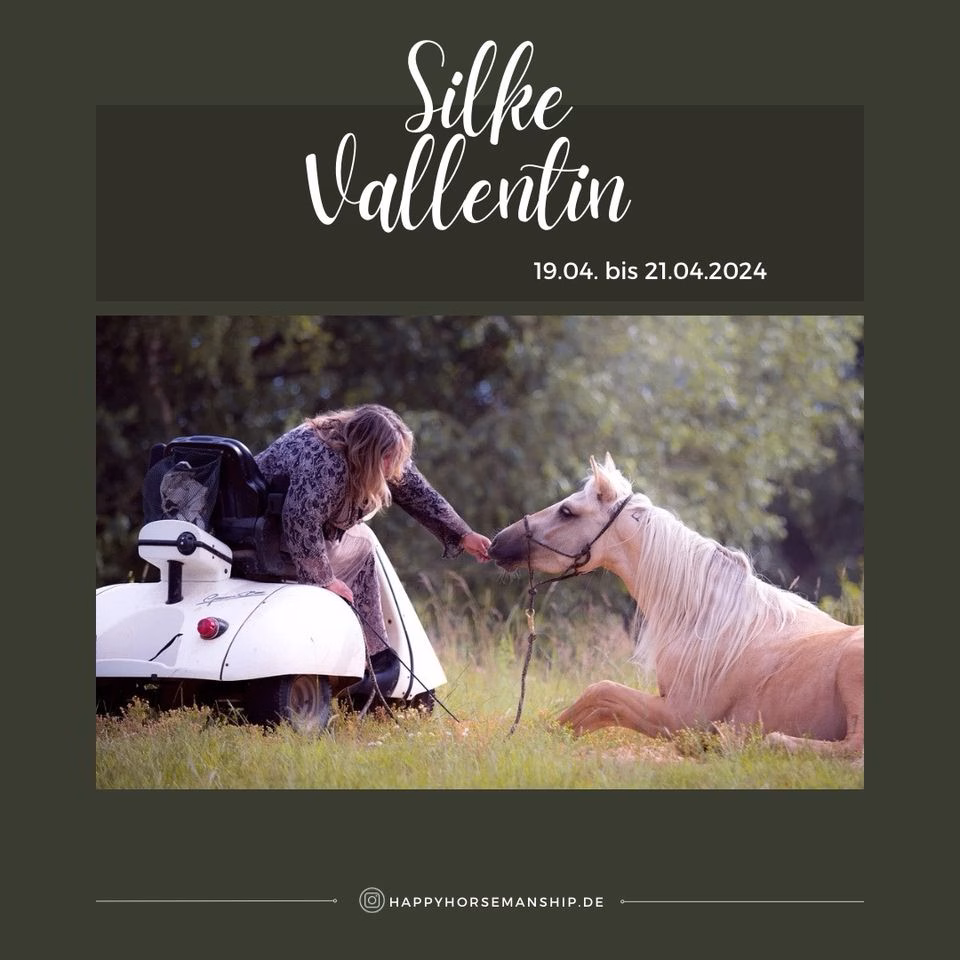 horsemanship workshop mit silke vallentin jpg