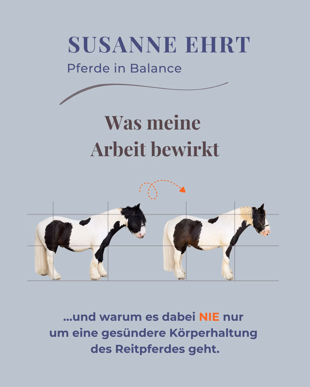 Was meine Arbeit bewirkt: Mehr als eine gesündere Reitpferdehaltung 4 Was meine Arbeit bewirkt: Mehr als eine gesündere Reitpferdehaltung