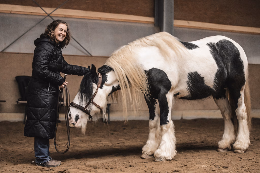 Pferdetraining Westerwald 1 pferdetraining