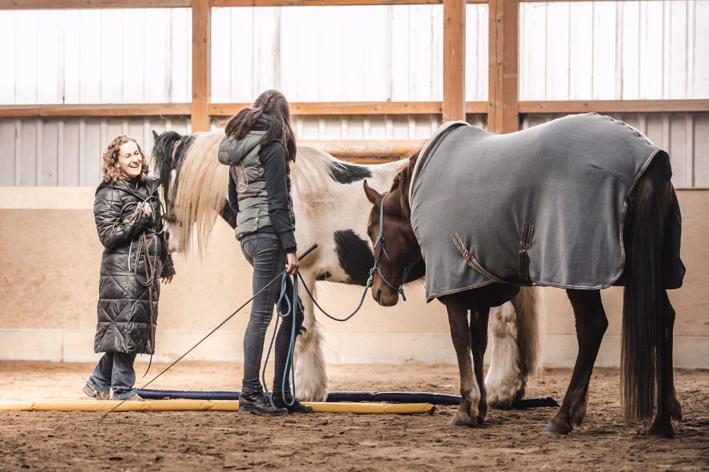 Unterricht mit Susanne Ehrt – Pferdetraining im Westerwald 1 unterricht